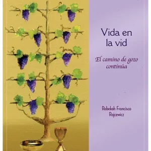 vida-en-la-vida-el-camino-del-gozo-continua